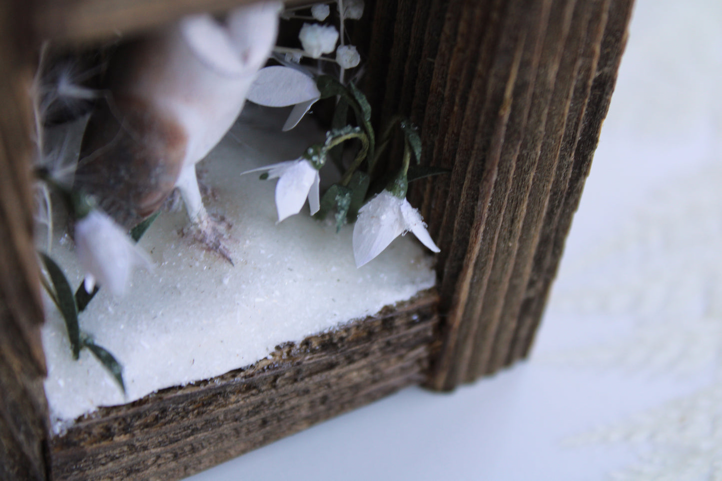 The Stillness of Winter Before Spring I | Wooden Shadowbox