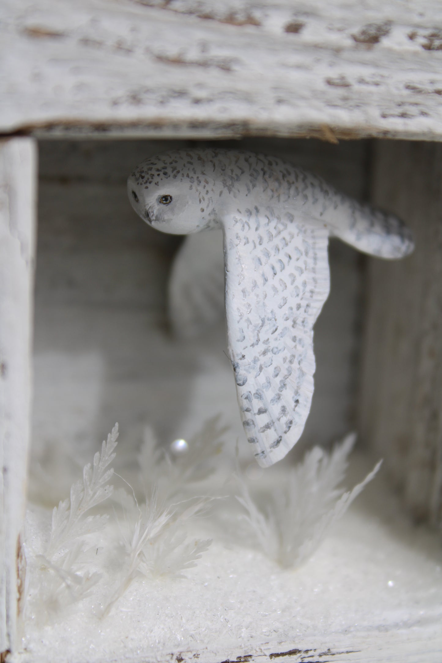 The Stillness of Winter Before Spring VI | Wooden Shadowbox