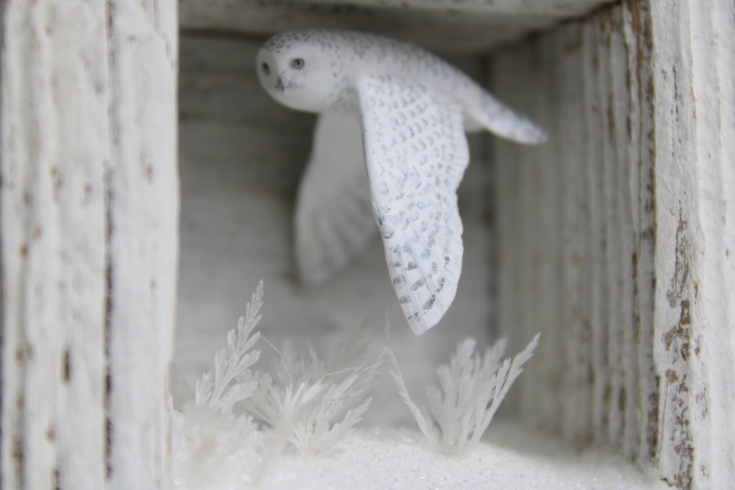 The Stillness of Winter Before Spring VI | Wooden Shadowbox