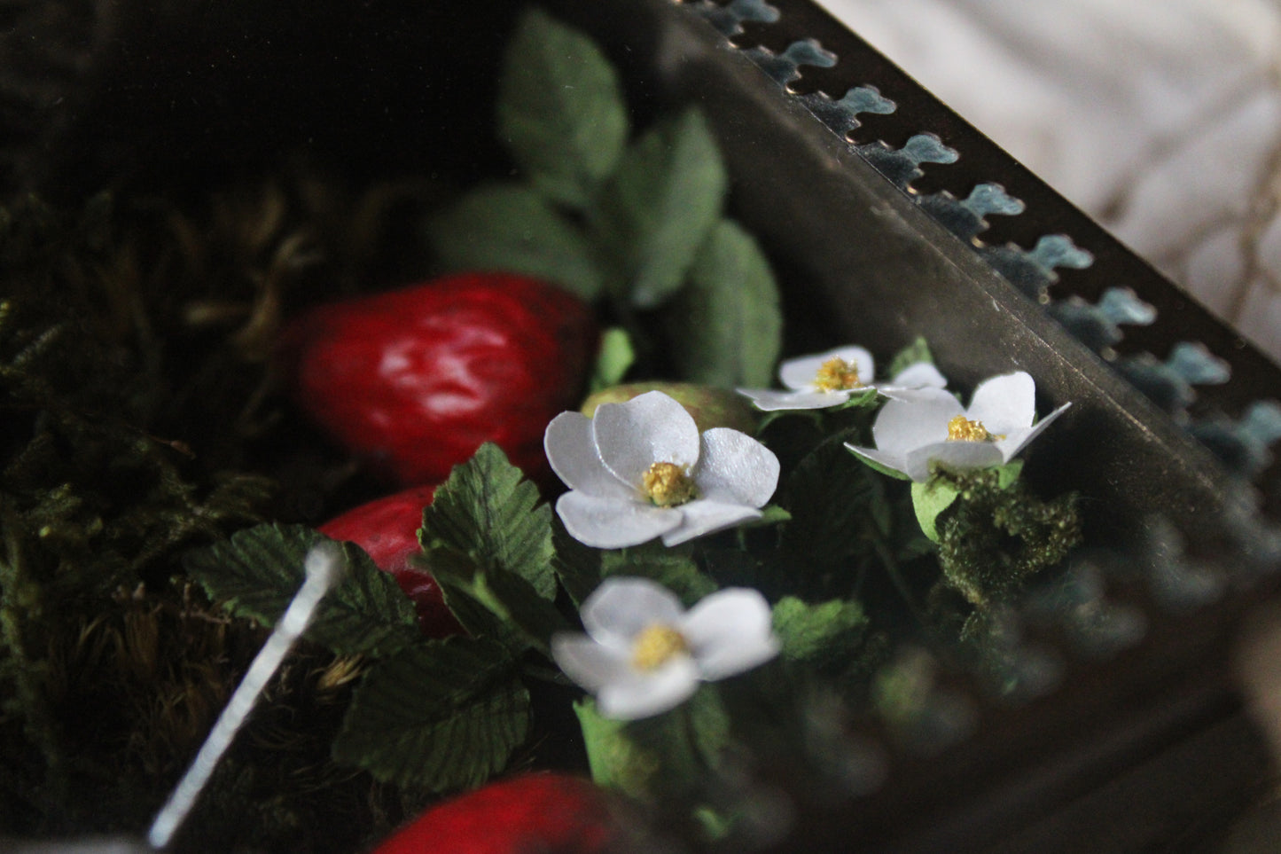 The Strawberry Snail | Glass Shadowbox Sculpture