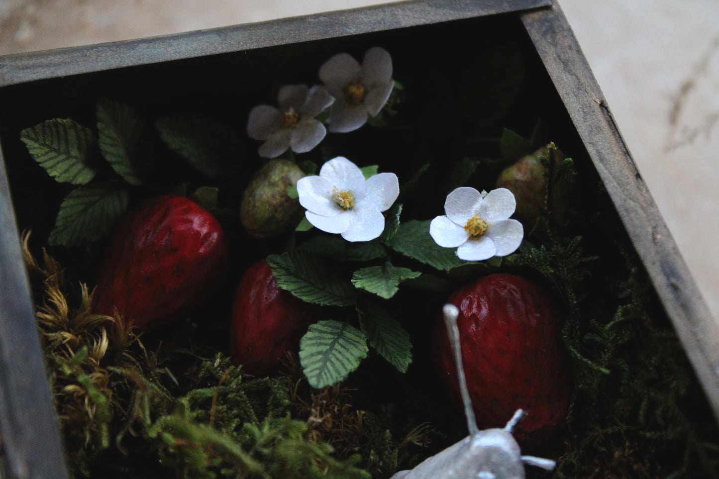 The Strawberry Snail | Glass Shadowbox Sculpture