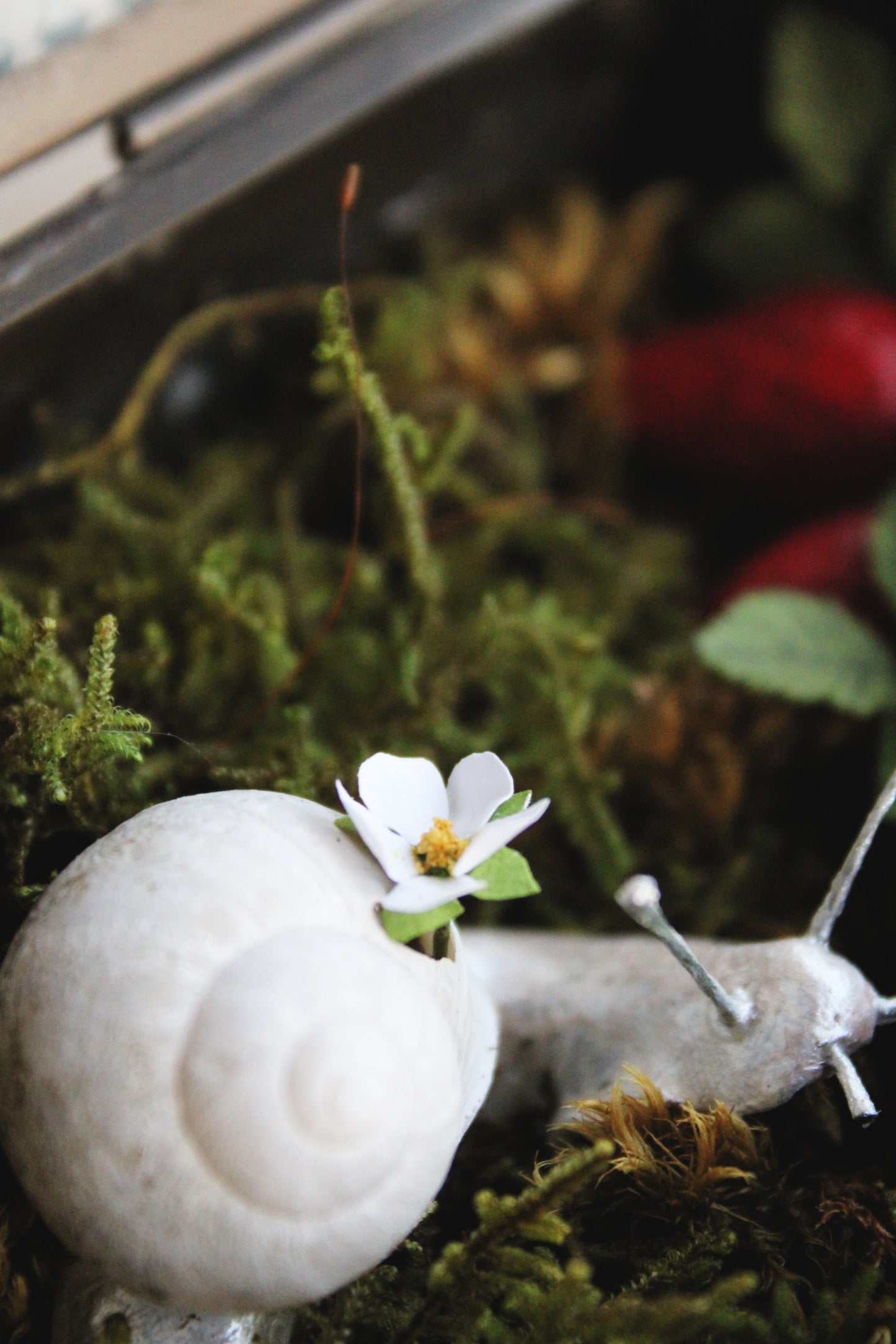 The Strawberry Snail | Glass Shadowbox Sculpture