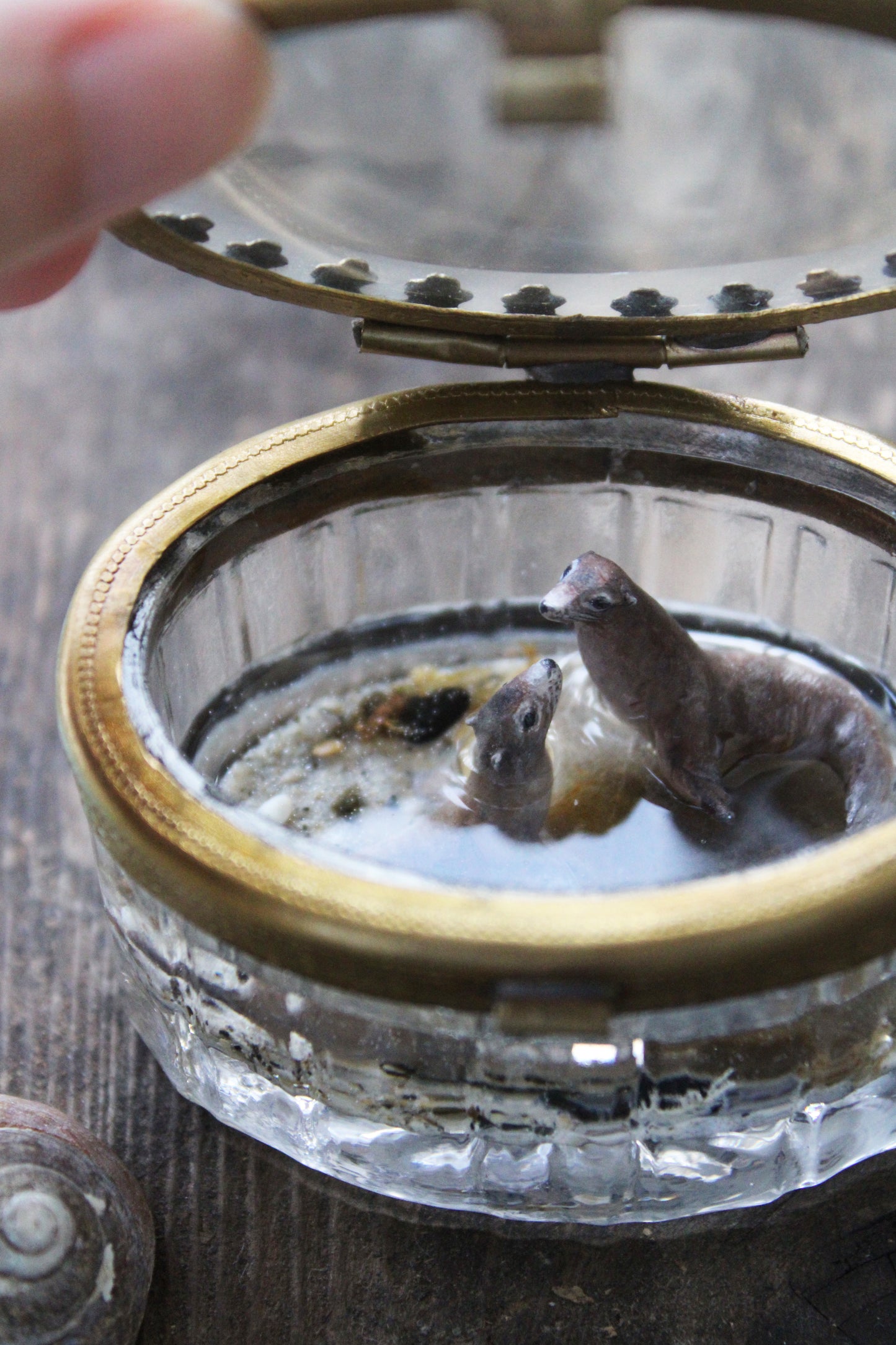 The Warmth & Adventures of Summer | Glass Shadowbox Sculpture