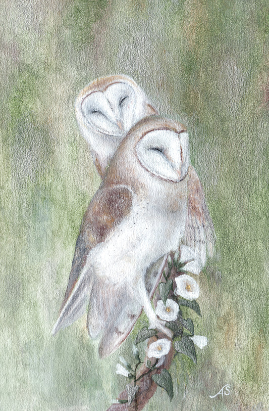 Through Thick and Thin | 4 x 6 Inch Giclée Print