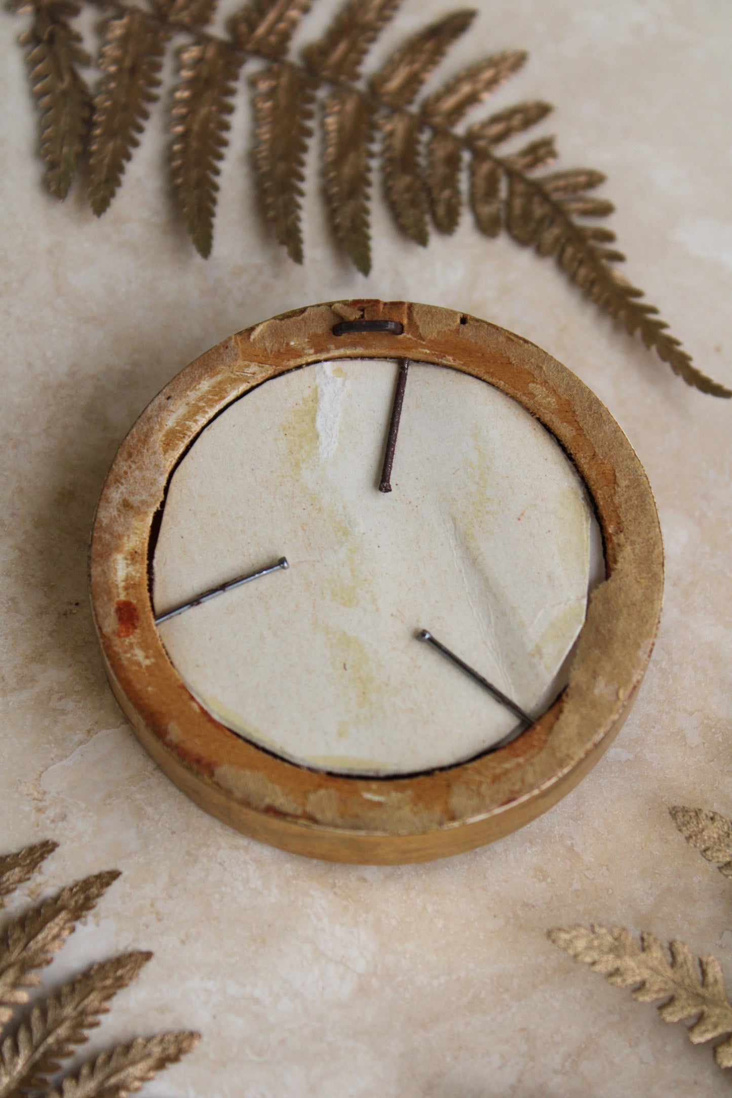 Toad Ponderings | Plaque Sculpture