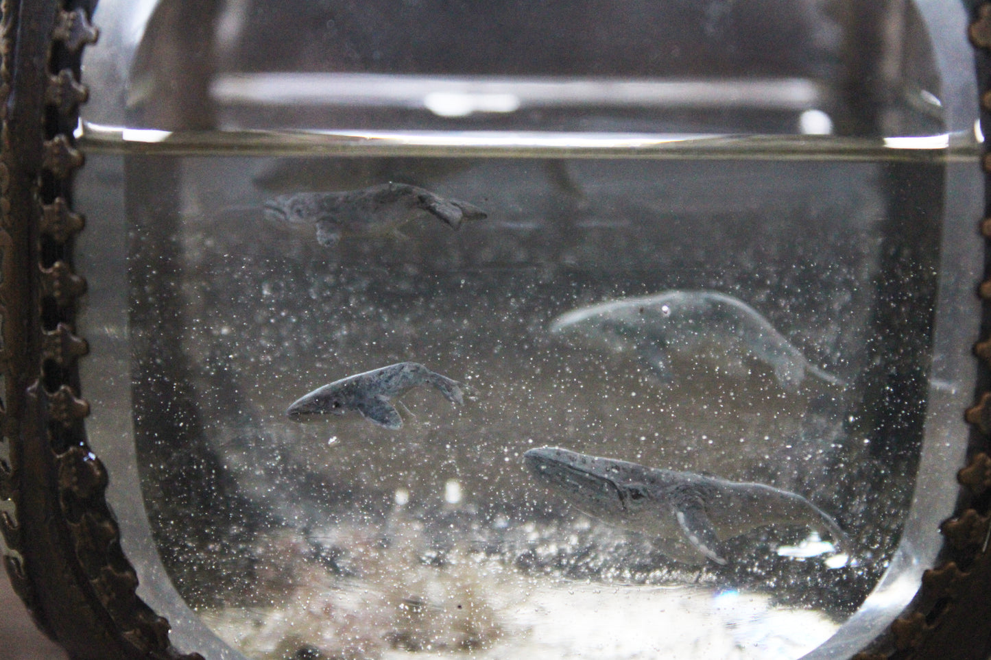 Unity | Whale Pod Glass Shadowbox