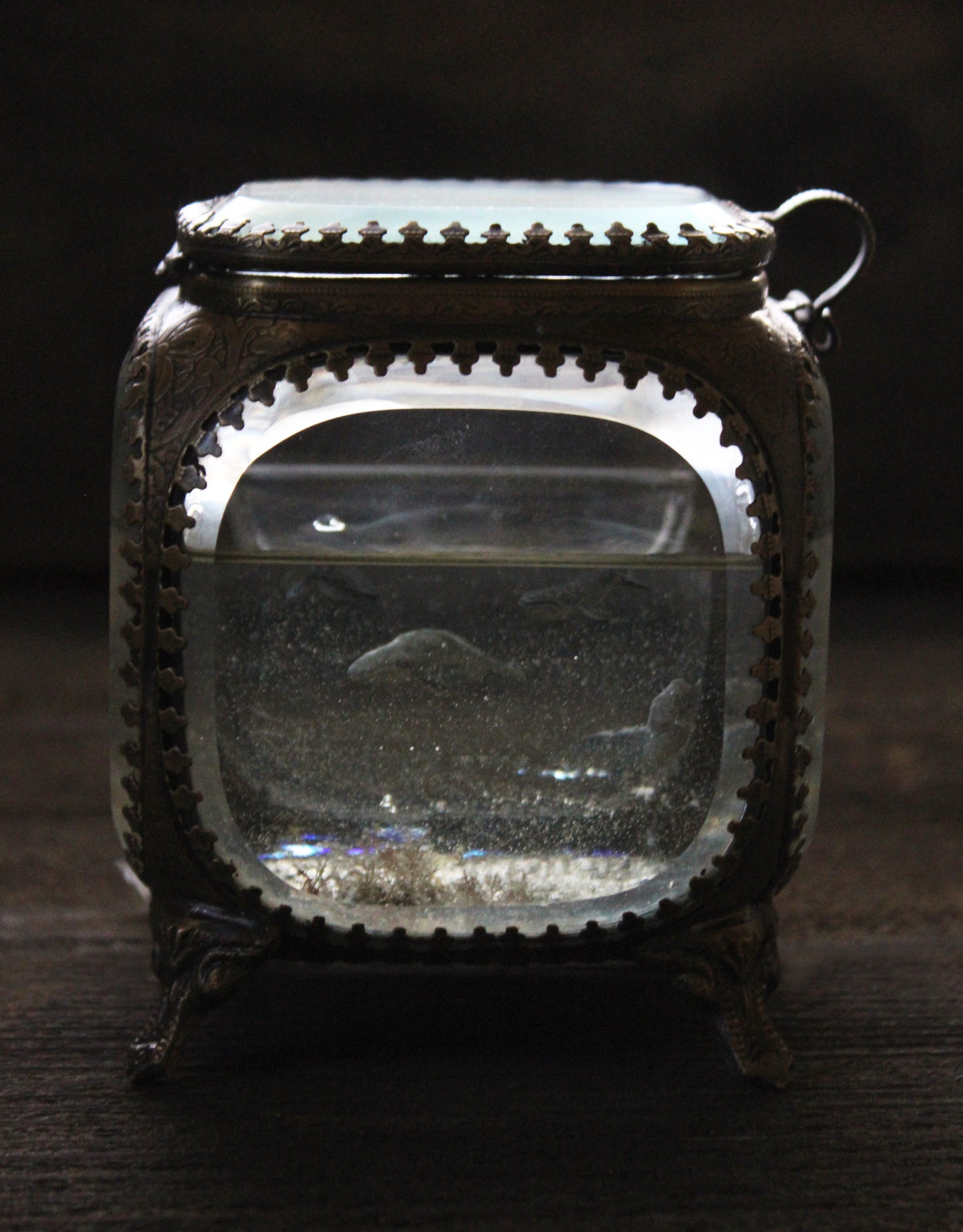 Unity | Whale Pod Glass Shadowbox