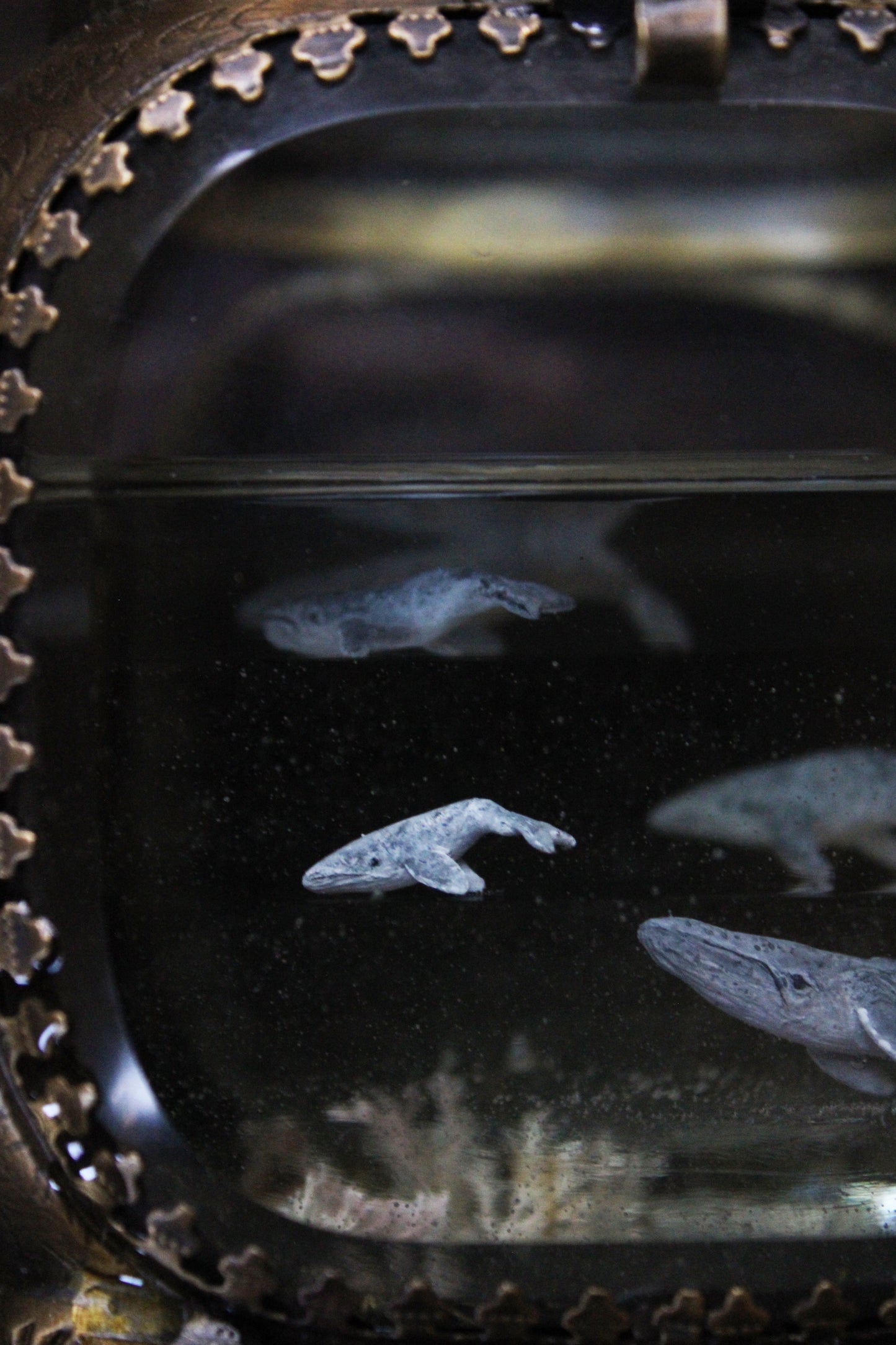 Unity | Whale Pod Glass Shadowbox