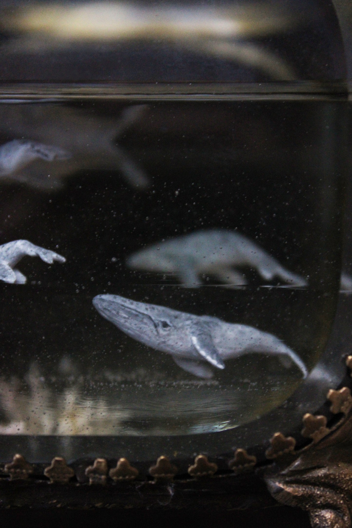 Unity | Whale Pod Glass Shadowbox