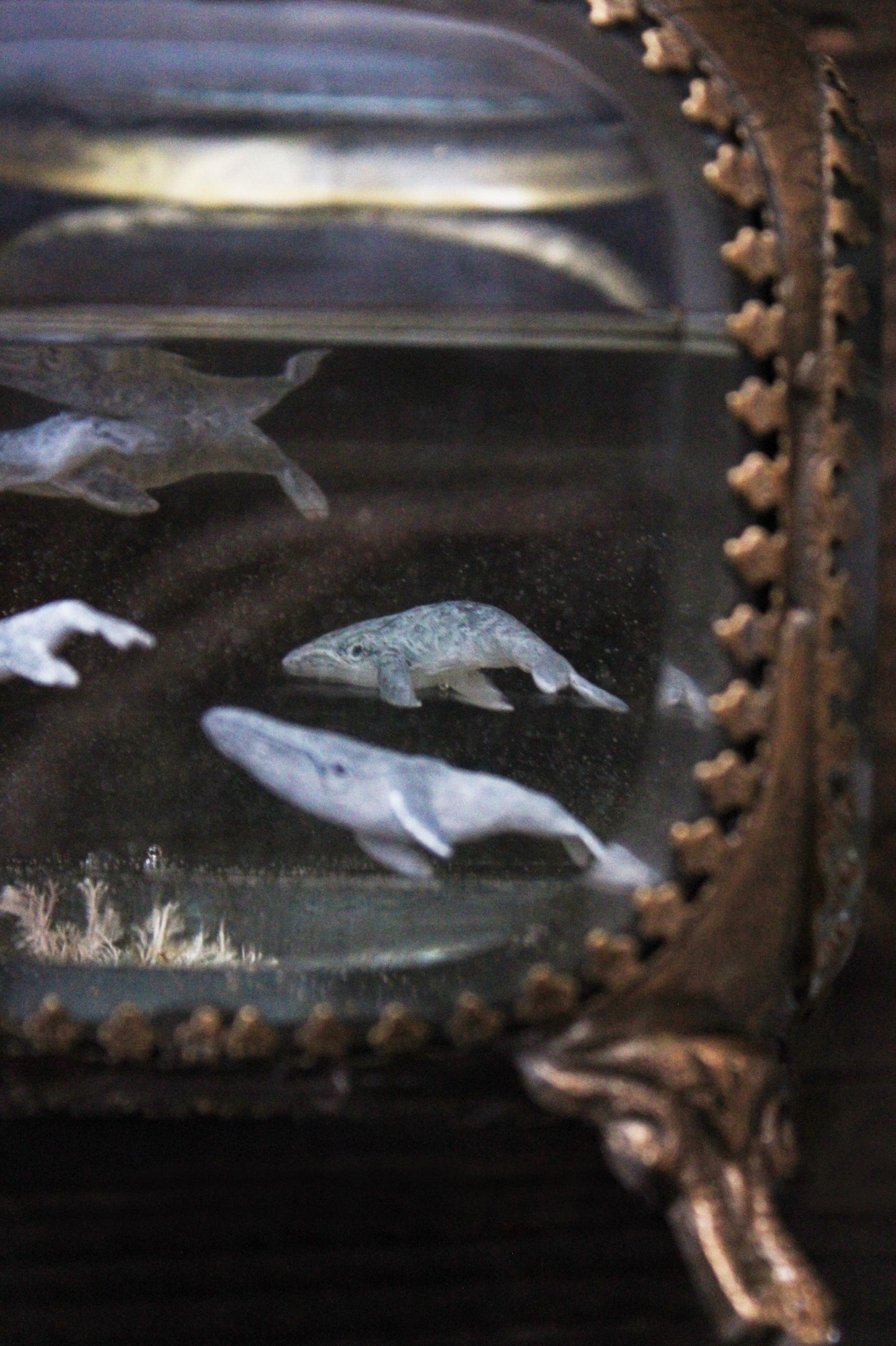 Unity | Whale Pod Glass Shadowbox