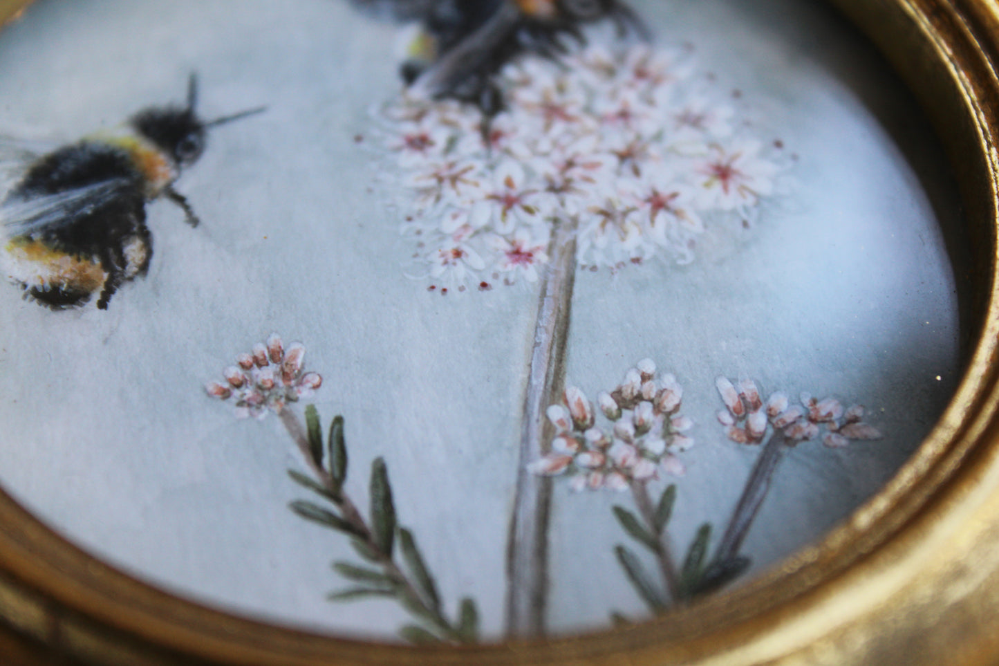 Wild Buckwheat & California Bumblebees | Original Watercolor Painting