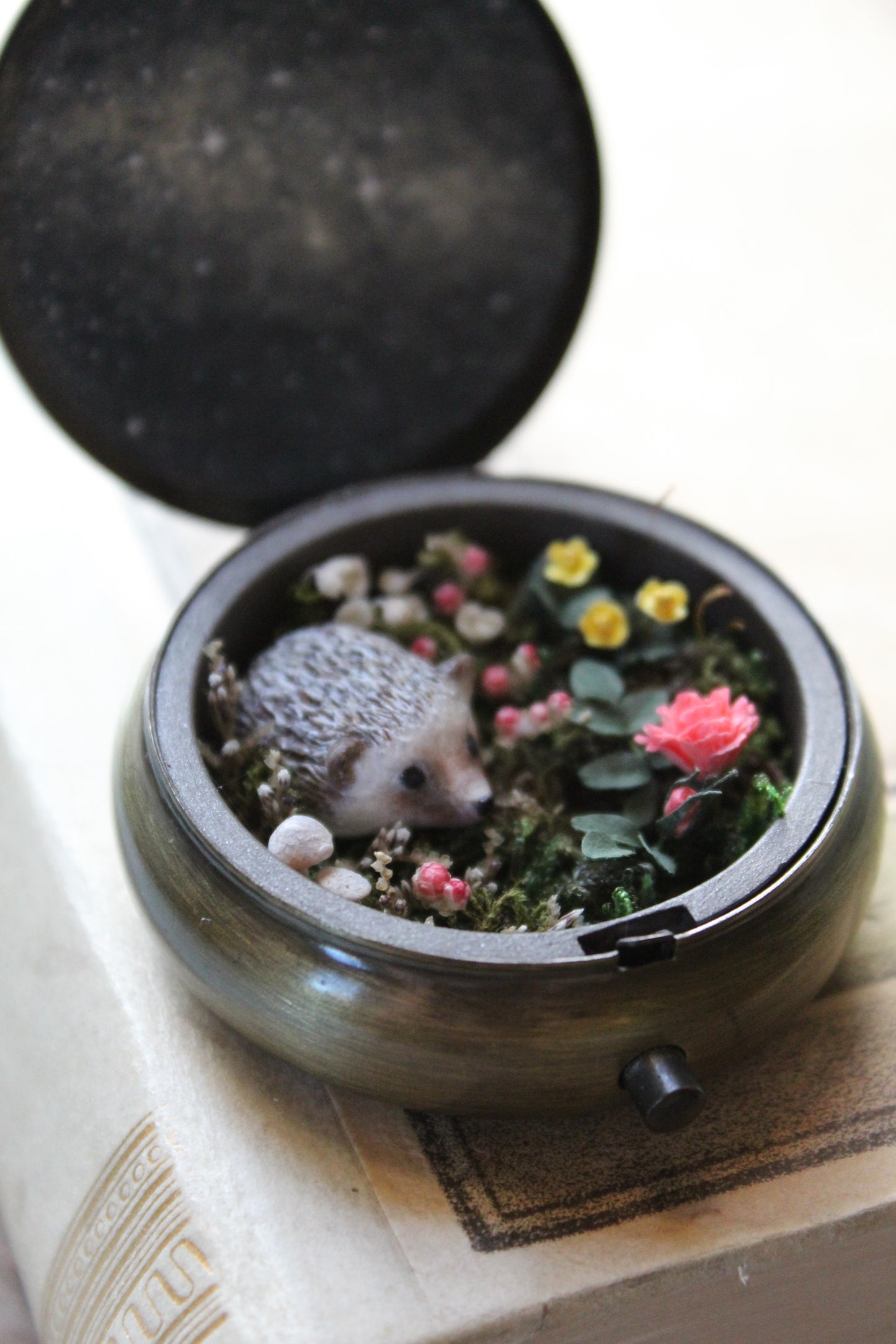 Wonder | Pocket Locket {restocking}