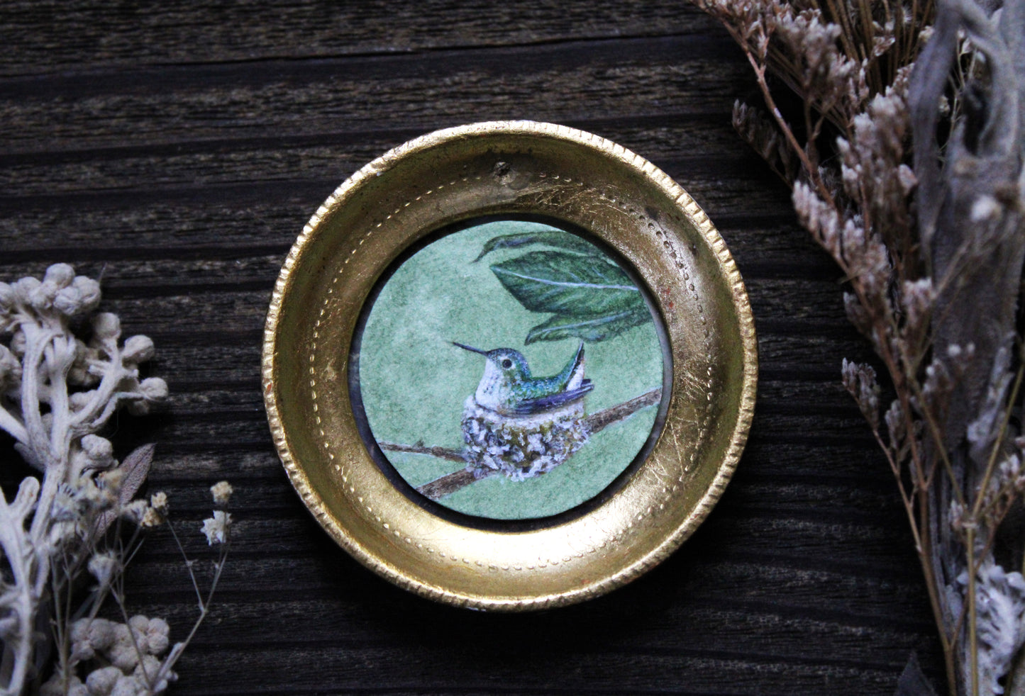 Nesting Allen's Hummingbird | Original Watercolor Painting