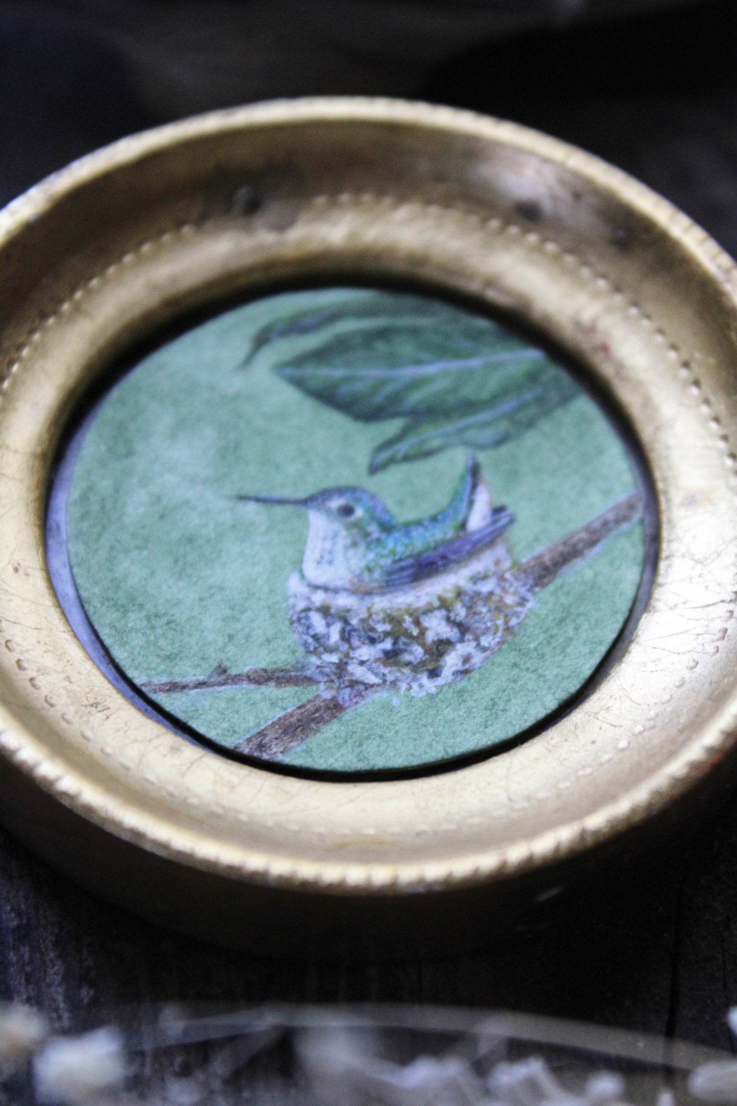 Nesting Allen's Hummingbird | Original Watercolor Painting