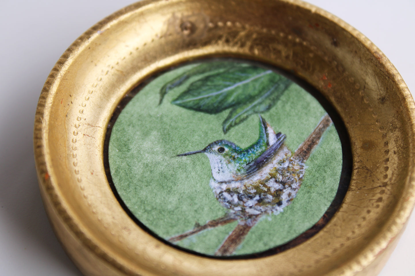 Nesting Allen's Hummingbird | Original Watercolor Painting