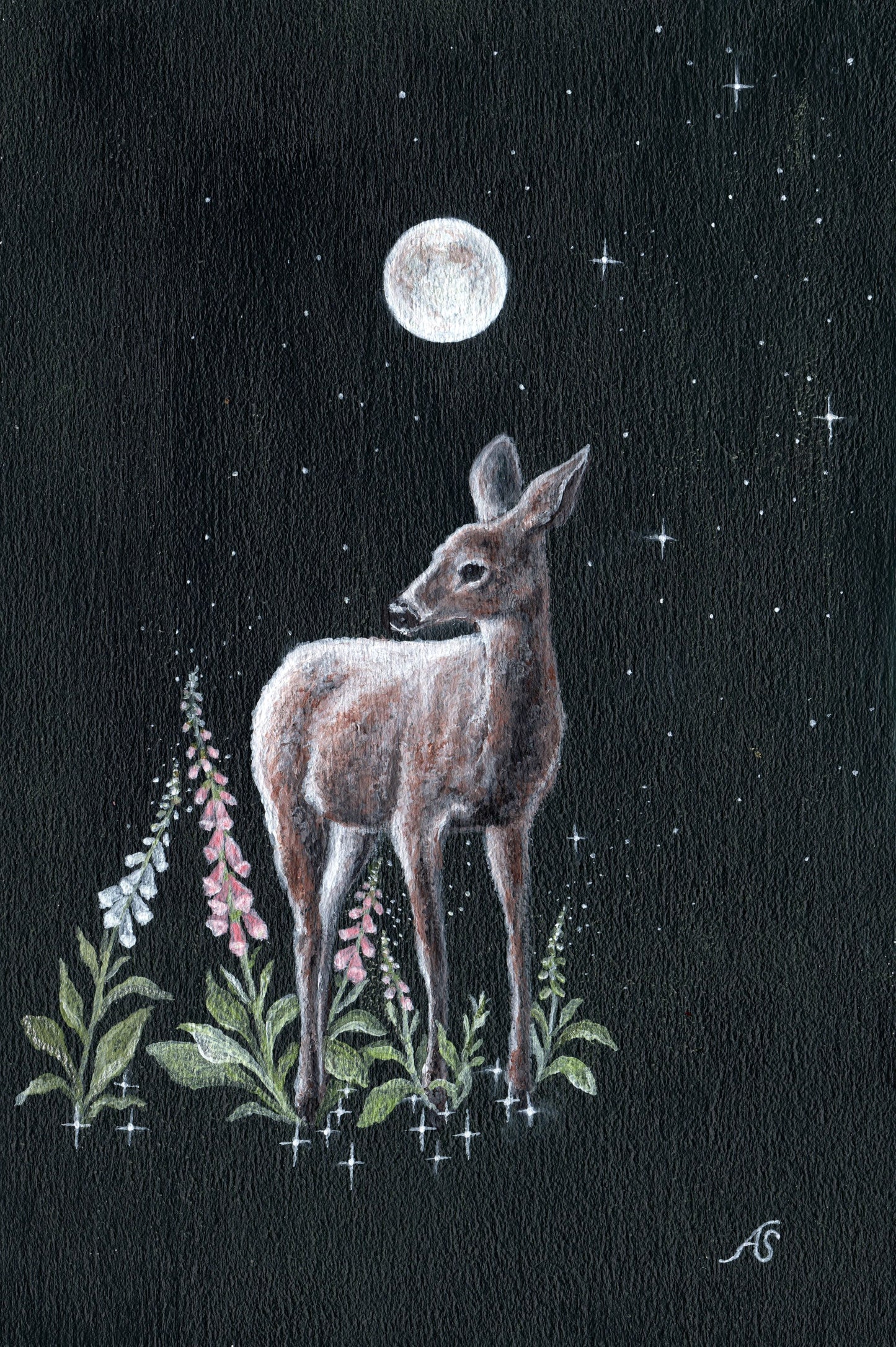 Full Moon Magic | 4 x 6 Inch Giclée Print